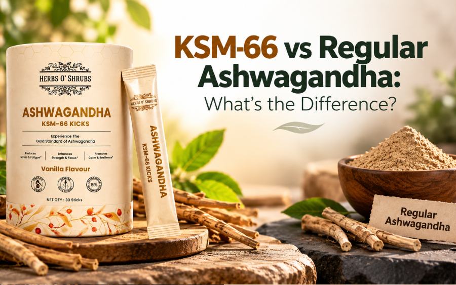 KSM-66 vs Regular Ashwagandha: What’s the Difference?