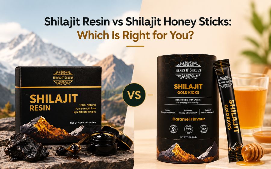 Shilajit Resin vs Shilajit Honey Sticks: Which Is Right for You?