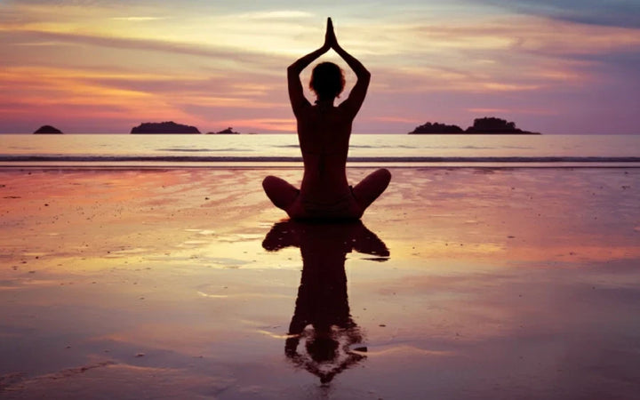 The Four Pillars of Holistic Wellness: Gut Health, Immunity, Mood & Stress, and Longevity