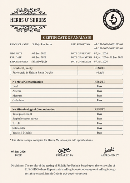 Shilajit Pro Resin
