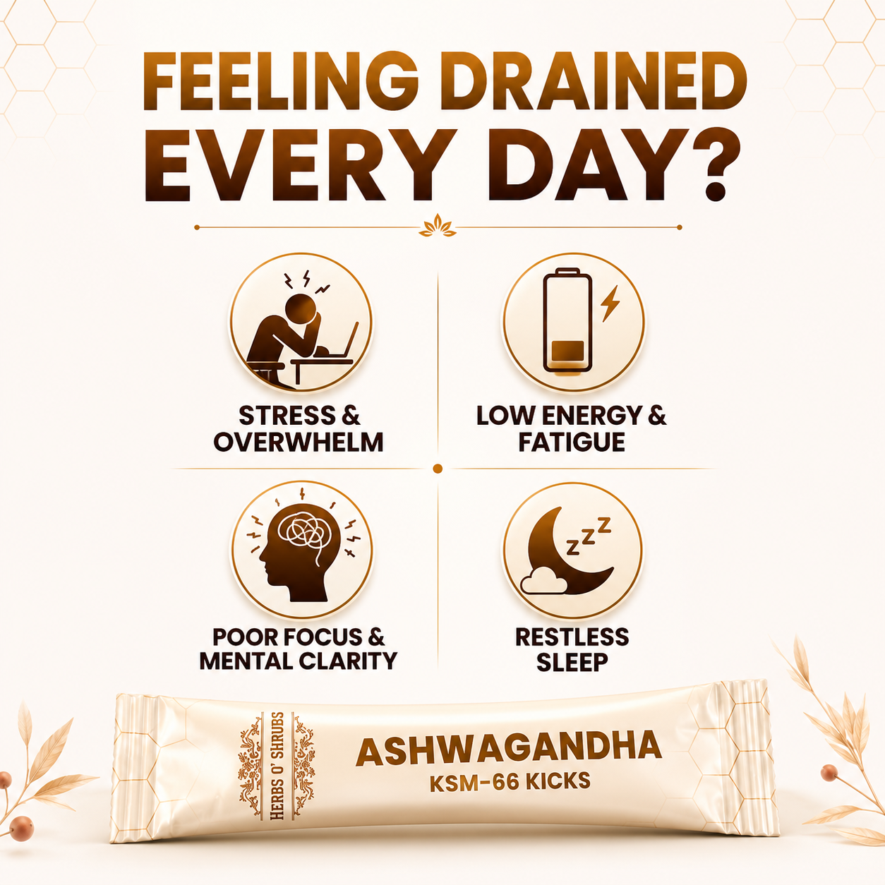 Ashwagandha KSM-66 Trial - Pack of 5 Kicks