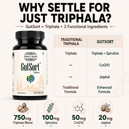 GutSort: Ayurvedic Digestion & Gut Health Supplement