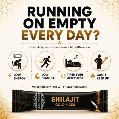 Shilajit Gold Kicks Trial - Pack of 5 Kicks