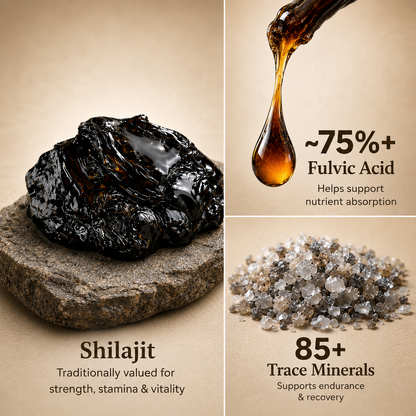Shilajit Pro Resin
