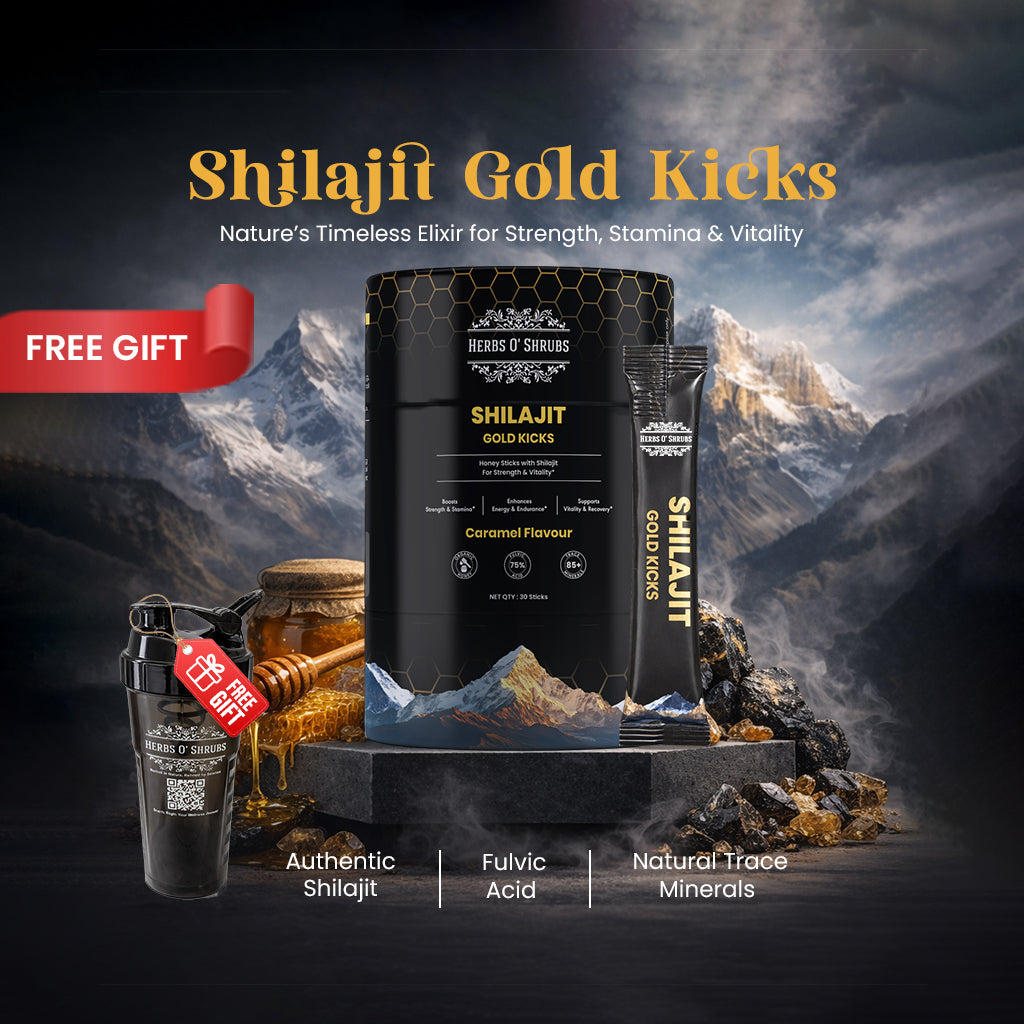 Shilajit Gold Kicks + Free Shaker