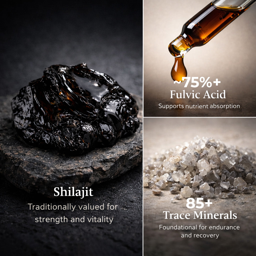 Shilajit Pro Resin