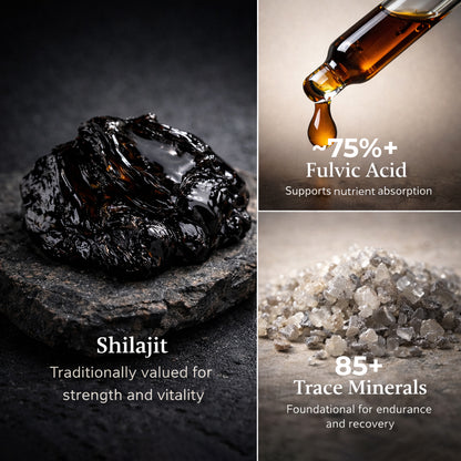 Shilajit Pro Resin