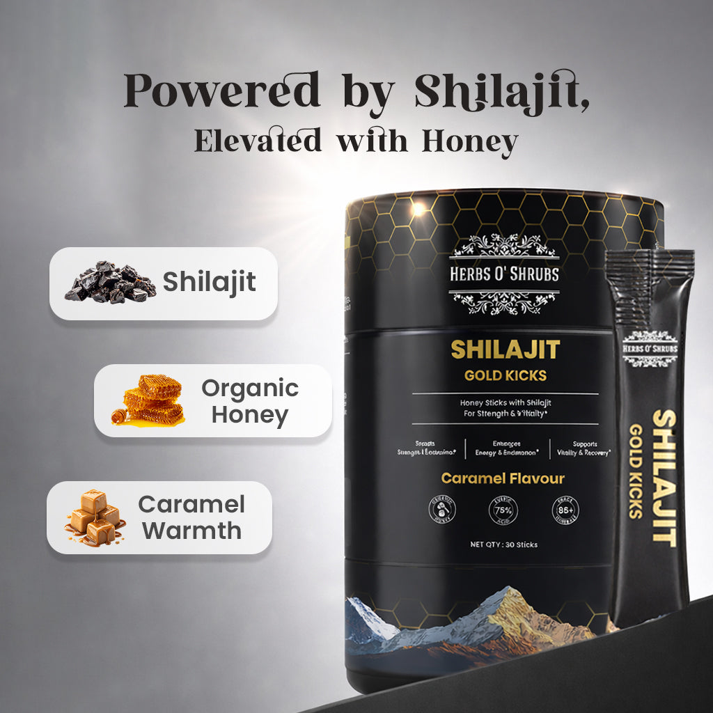 Shilajit Gold Kicks
