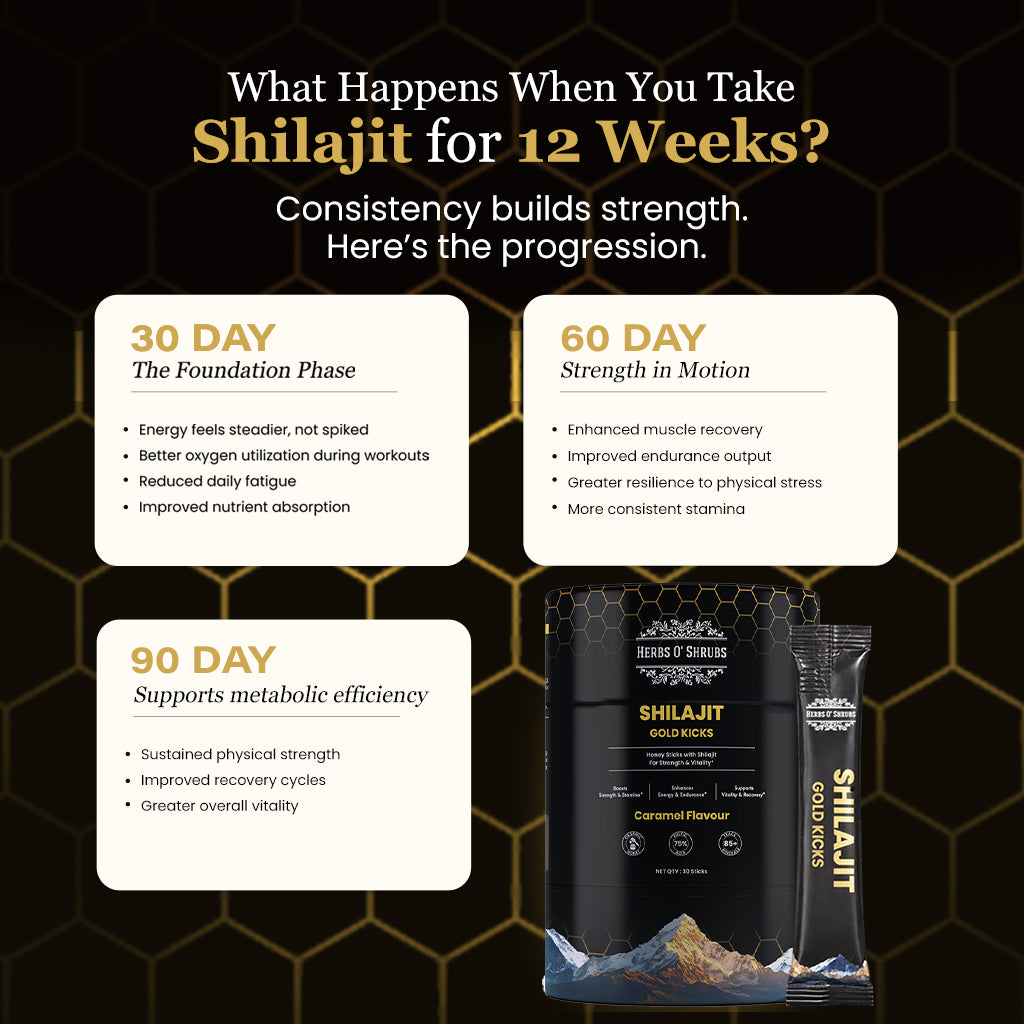Shilajit Gold Kicks