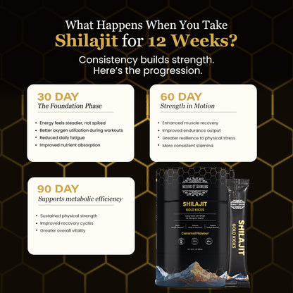 Shilajit Gold Kicks