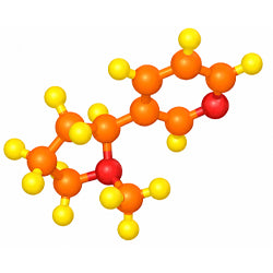 Standardized to 5% Withanolides